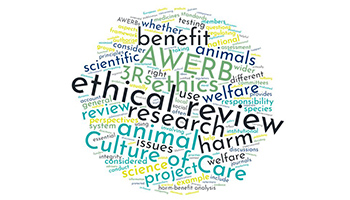 Ethical review wording