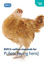 Welfare standards for pullets cover