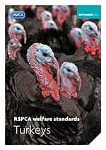 RSPCA welfare standards for turkeys cover © RSPCA Farm Animals Department