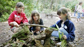 Girls building animal homes at Mallydams Wood © RSPCA