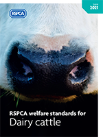 RSPCA welfare standards for dairy cattle cover
