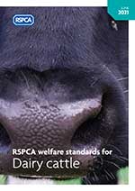 RSPCA welfare standards for dairy cattle cover © RSPCA Farm Animals Department