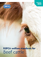 RSPCA Welfare Standards For Beef Cattle - RSPCA