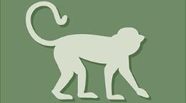 Monkey icon