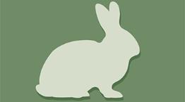 Rabbit icon