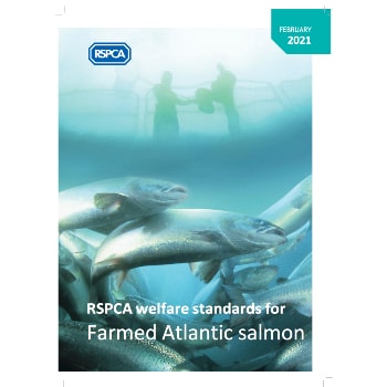Farmed salmon welfare standards © RSPCA