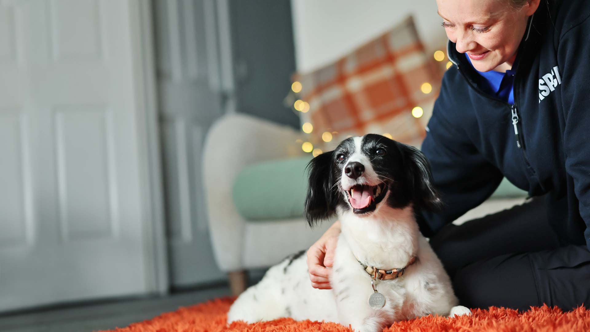 Floss, a black and white medium sized dog laying playfully on a red rug alongside an RSPCA worker.