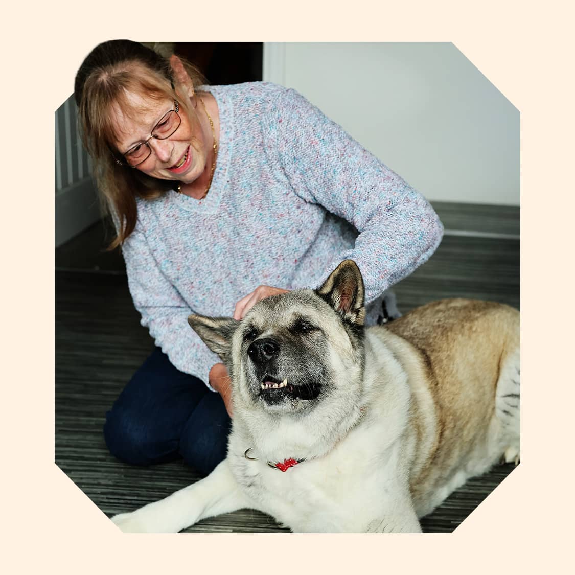 Lola, a large white fluffy dog being pet on the head by her new owner.