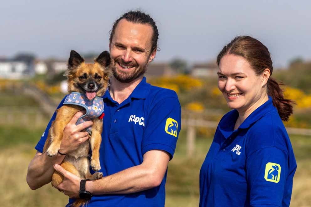 A man and a woman wearing blue RSPCA uniforms stand outdoors in a grassy area, with the man holding Poppy, a small fluffy brown dog in his arms.
