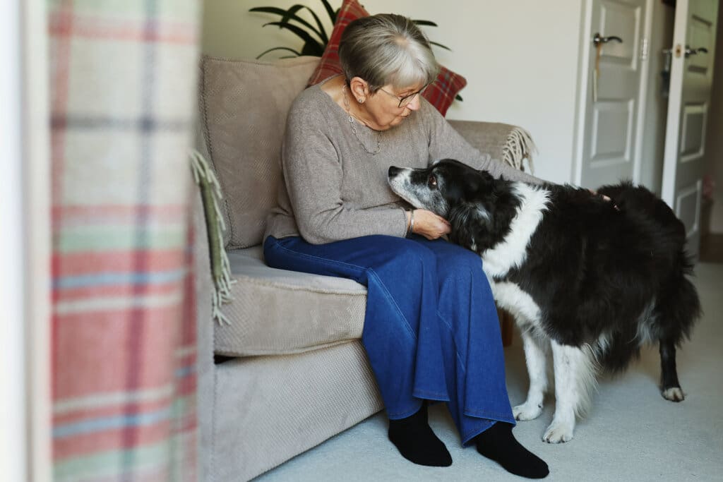 A black and white collie and their owner in a lounge.