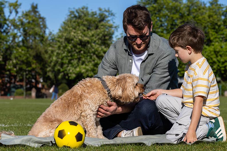A man and a young boy sit on a blanket in a park, feeding a treat to their fluffy dog.