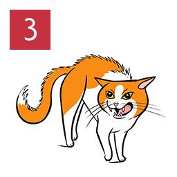 Cat illustration showing an angry cat demonstrated through raising their back and mouth open.