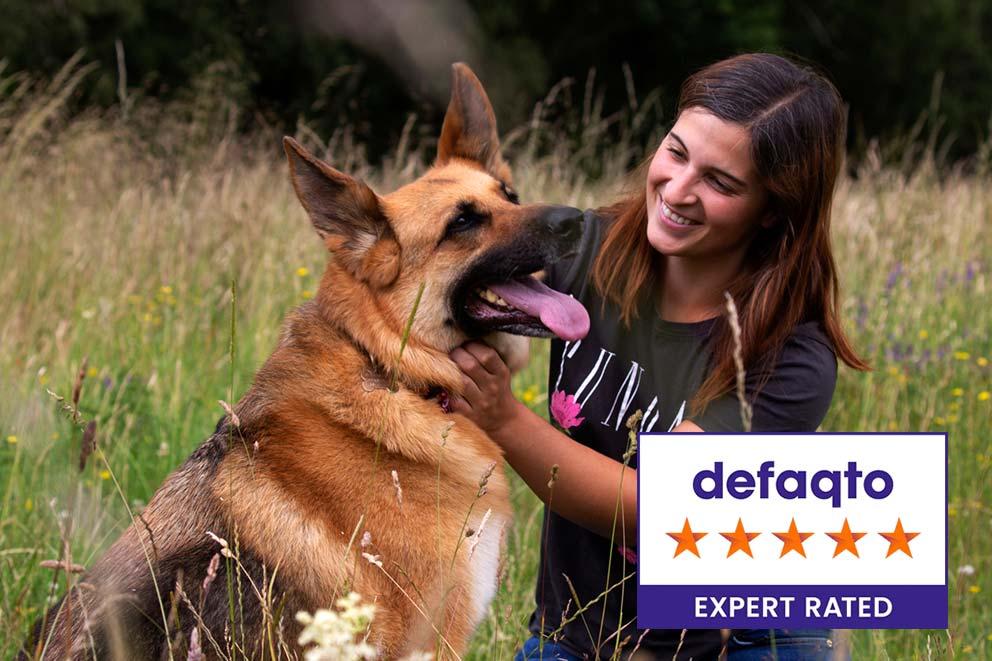 dog being pet by woman in a field