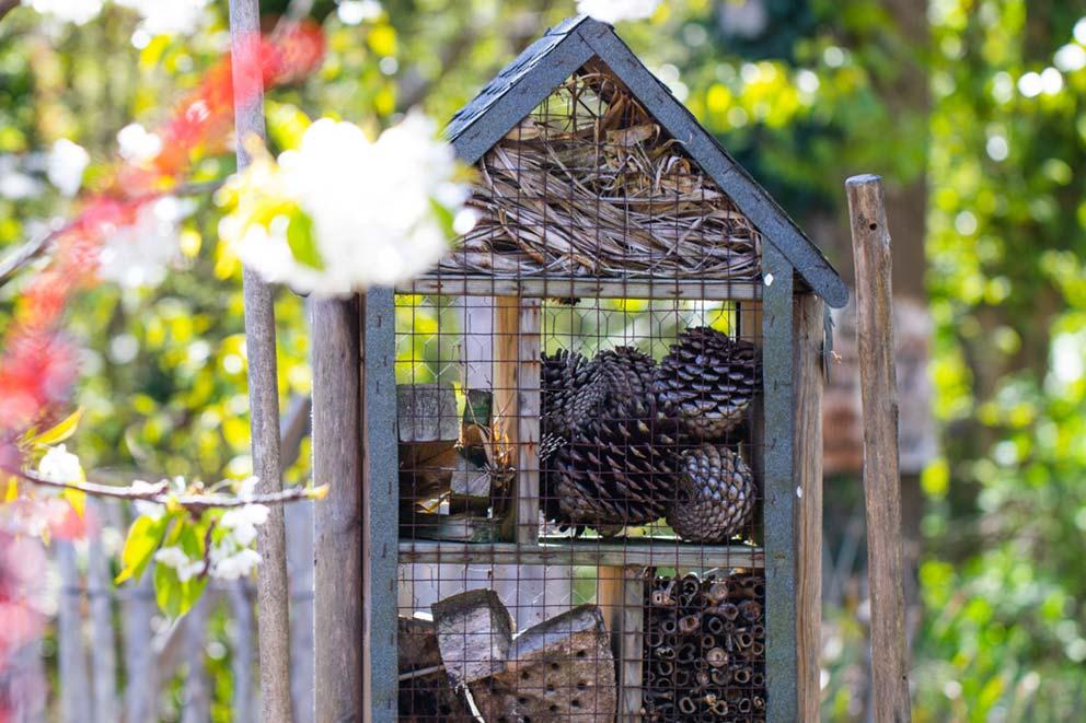 A wildlife encouraging structure amid trees and flowers.