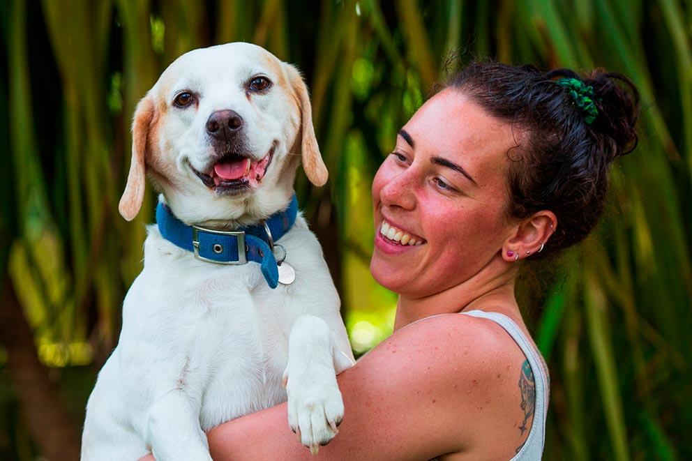 Dog being held by pet owner