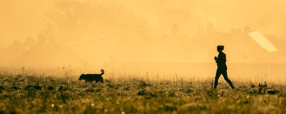 A person and a dog walking in a field with dew in the early morning.