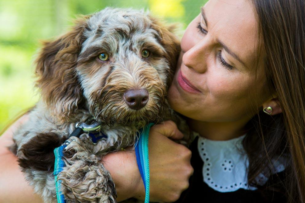 A rehomed puppy named Reggie enjoying a cuddle with his new ownder.