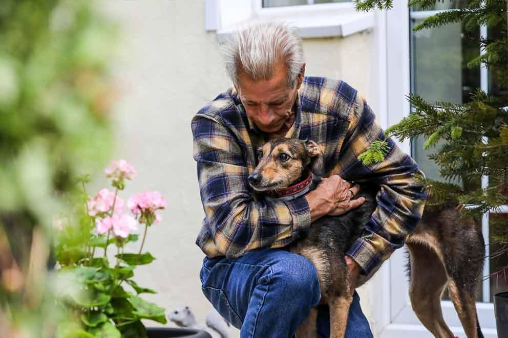 Lurcher dog receiving a hug from an older man.