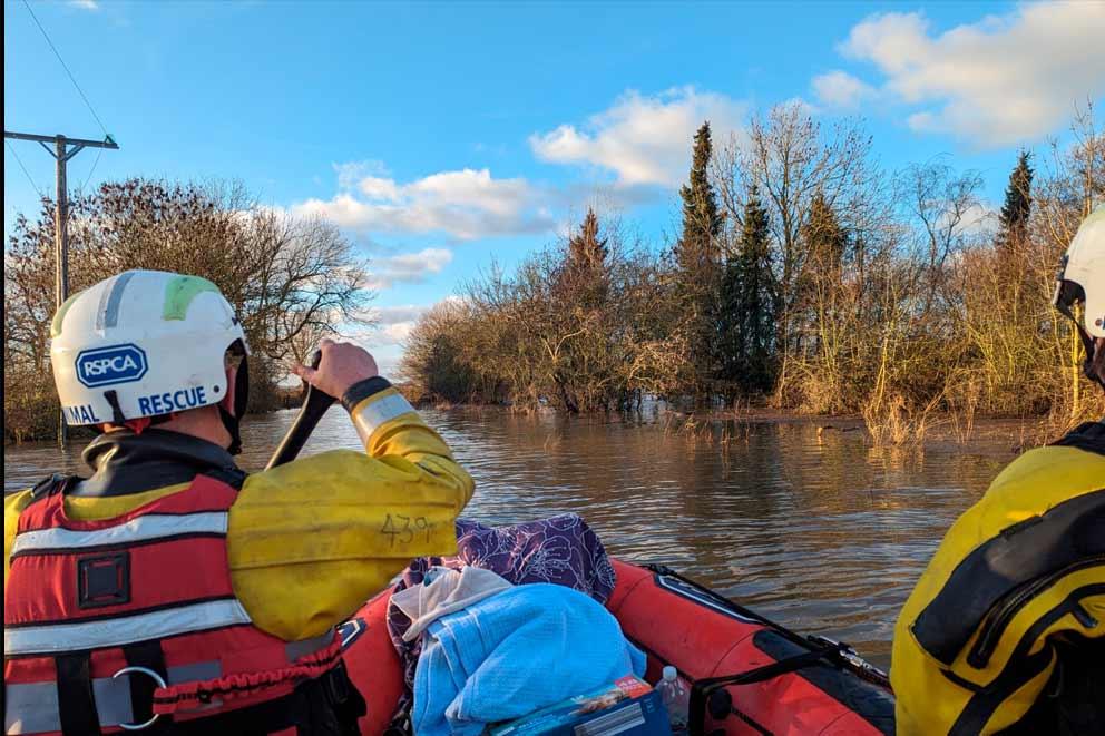 The RSPCA water rescue team deliver animal food and medicine to residents.