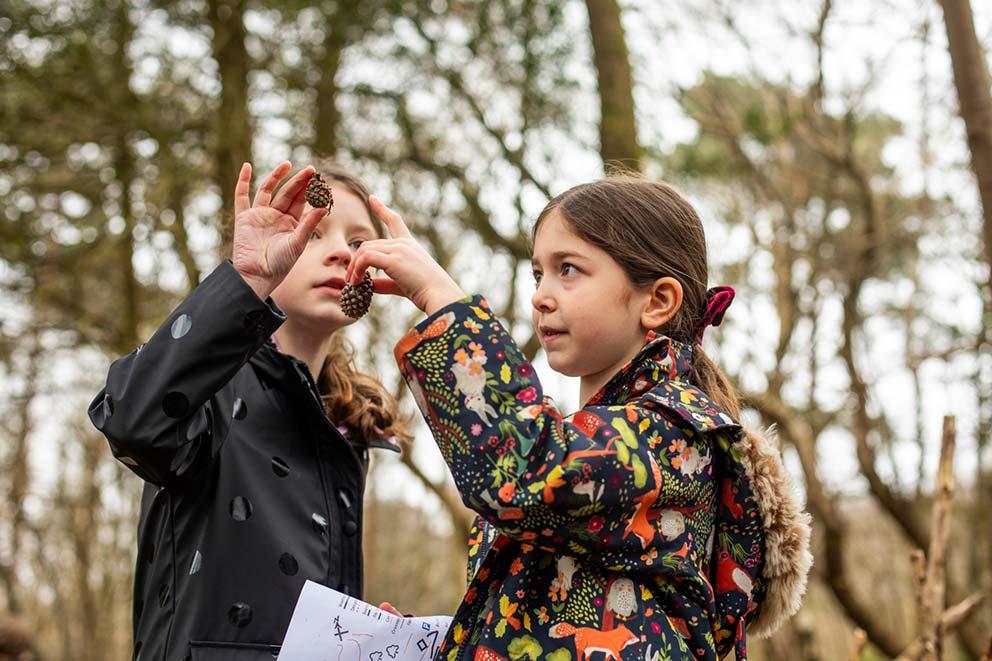 Two children holding up pine cones with trees in the distance.