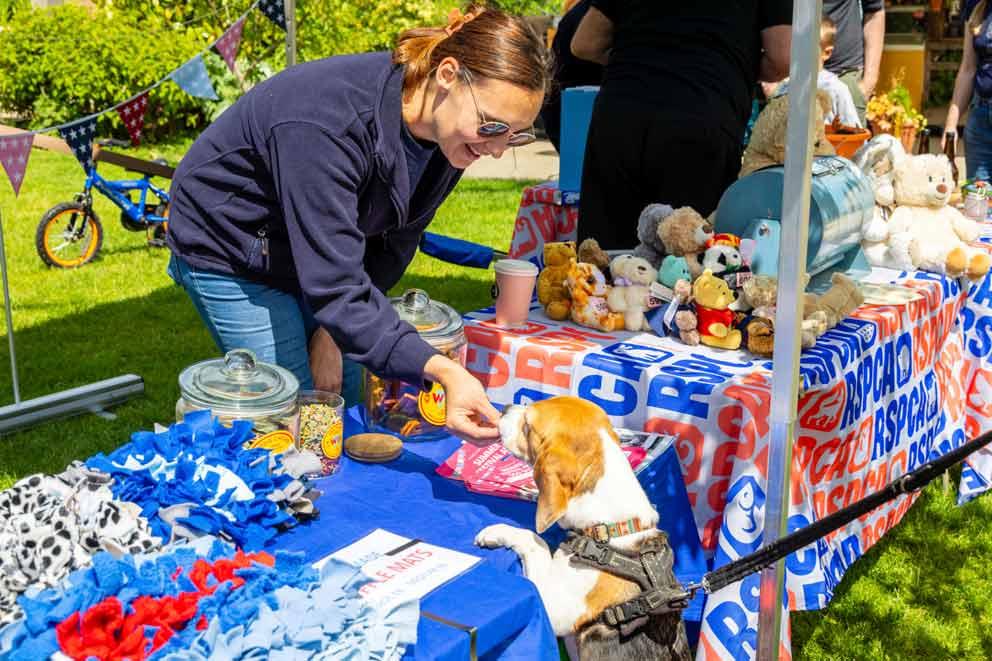 A fundraising volunteer helping on a stall feeding a treat to a dog on a lead.