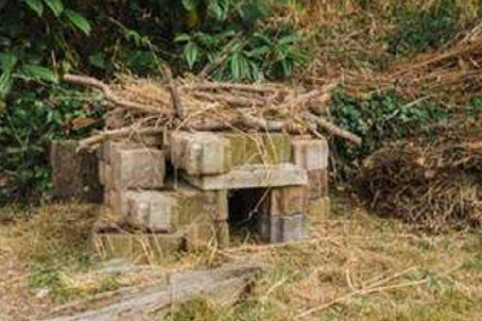 A homemade hedgehog house made from bricks, sticks and grass.