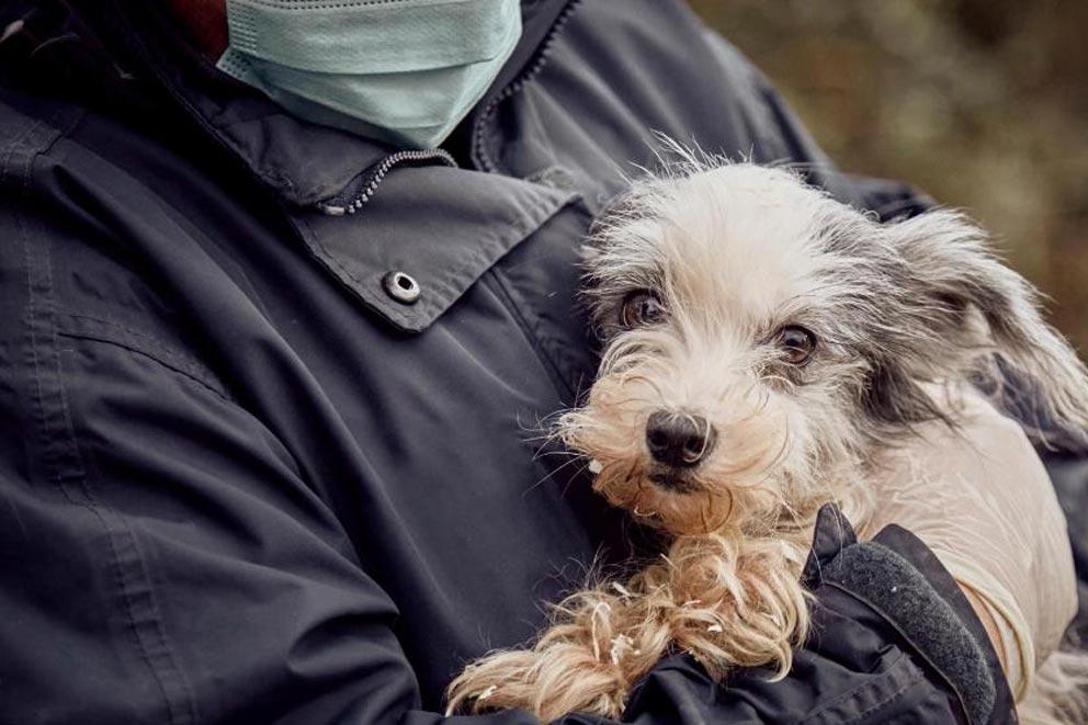 Animal rescue officer with a rescued puppy in their arms.