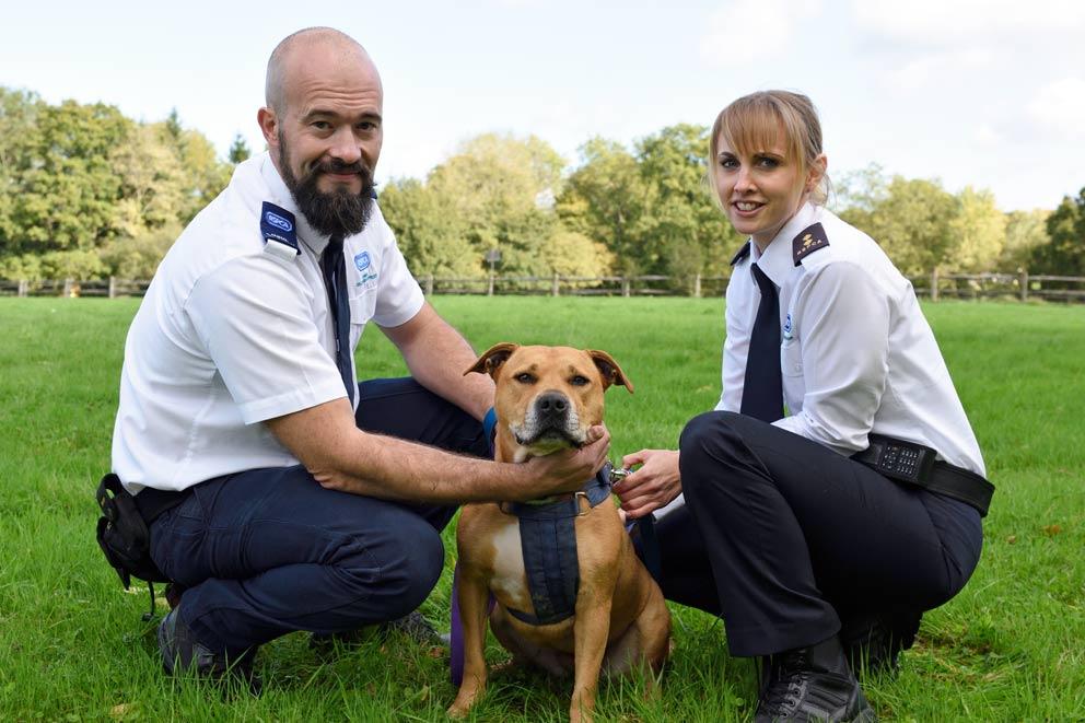 Two RSPCA inspectors outside with a dog in a field.