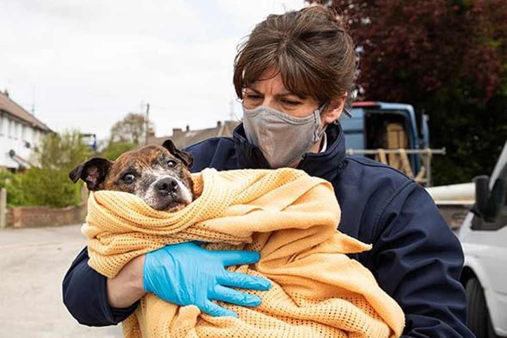 RSPCA inspector carrying a dog in a blanket.