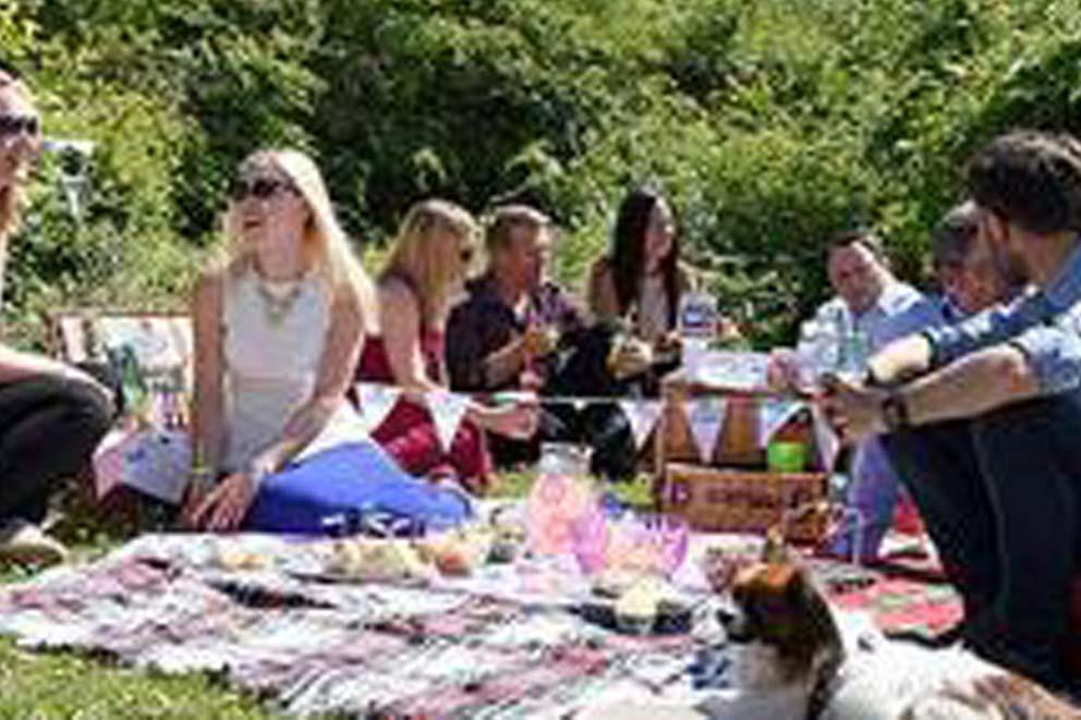 Group of people having a picnic outside with a dog and blankets.