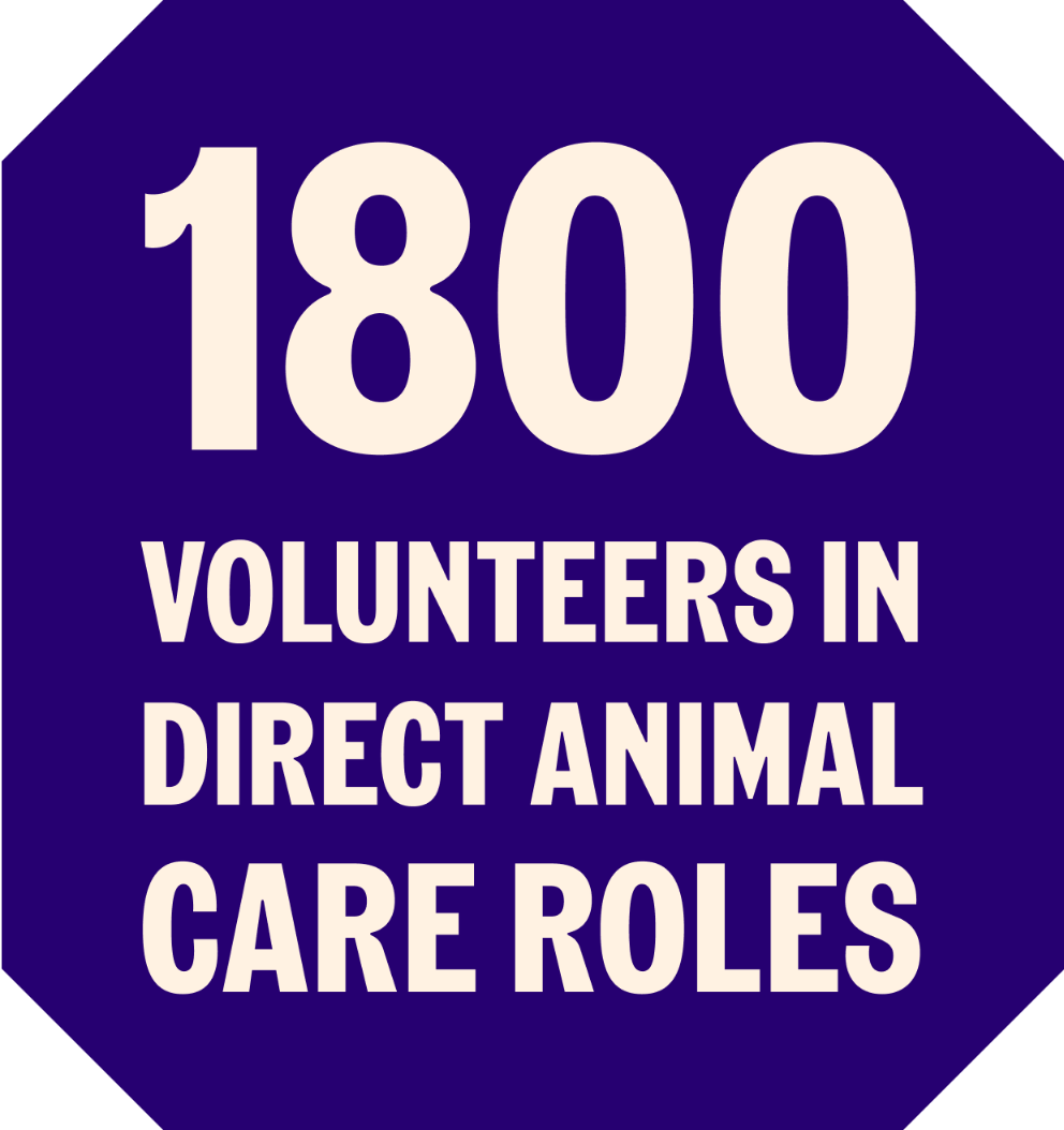 1800 volunteers in direct animal care roles.