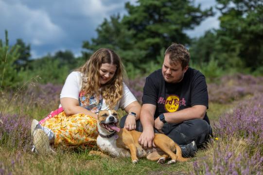 Rescue dog Mabel looking happy while being stroked by new owners outside.