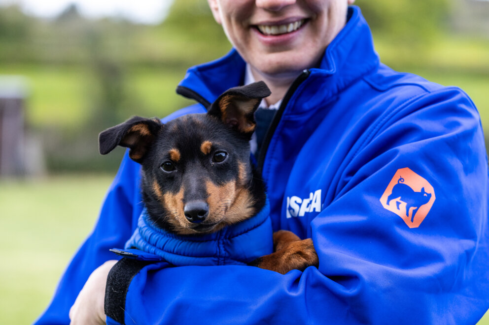 RSPCA inspector hugging a dog.